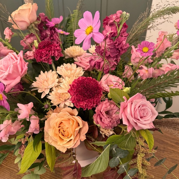 Meet your Posher, Ashton. - Picture 1 of 1